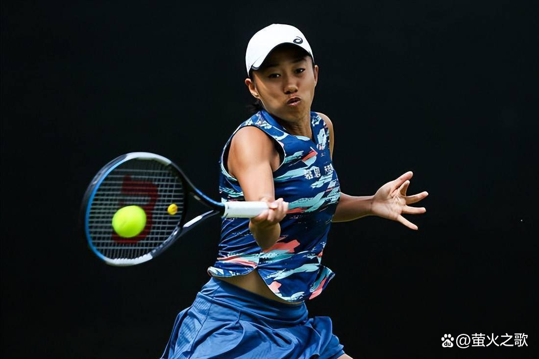 在职业巅峰 在职业巅峰